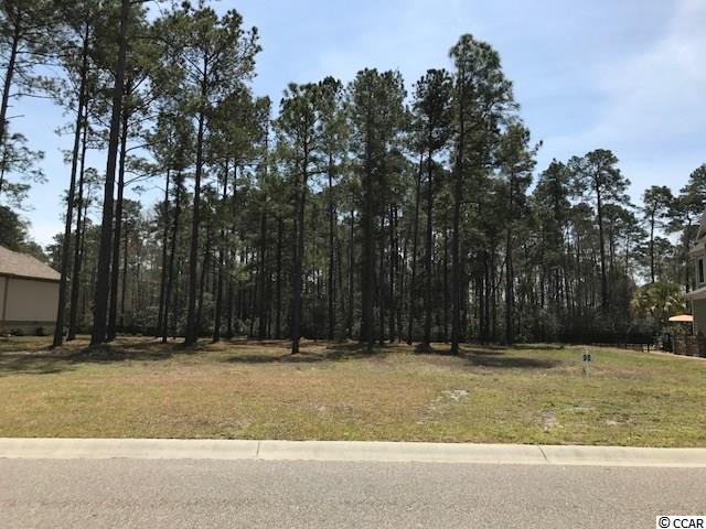 lot 95 Starlit Way Myrtle Beach, SC 29579