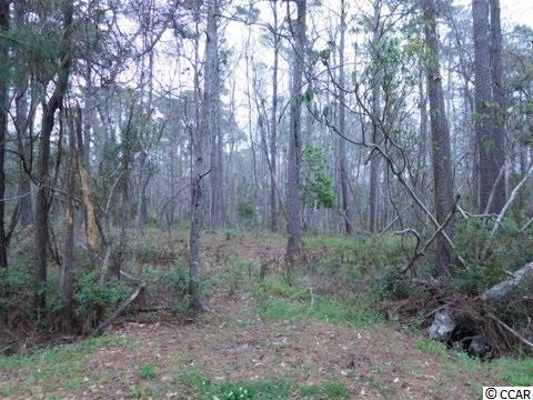 Lot 5 Gray Man's Loop Pawleys Island, SC 29585