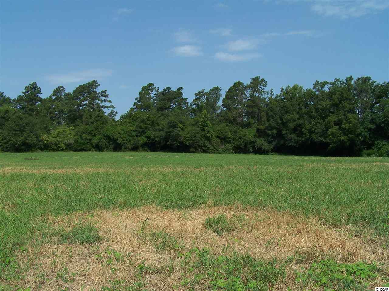 3720 Mitchell Sea Rd. Green Sea, SC 29545