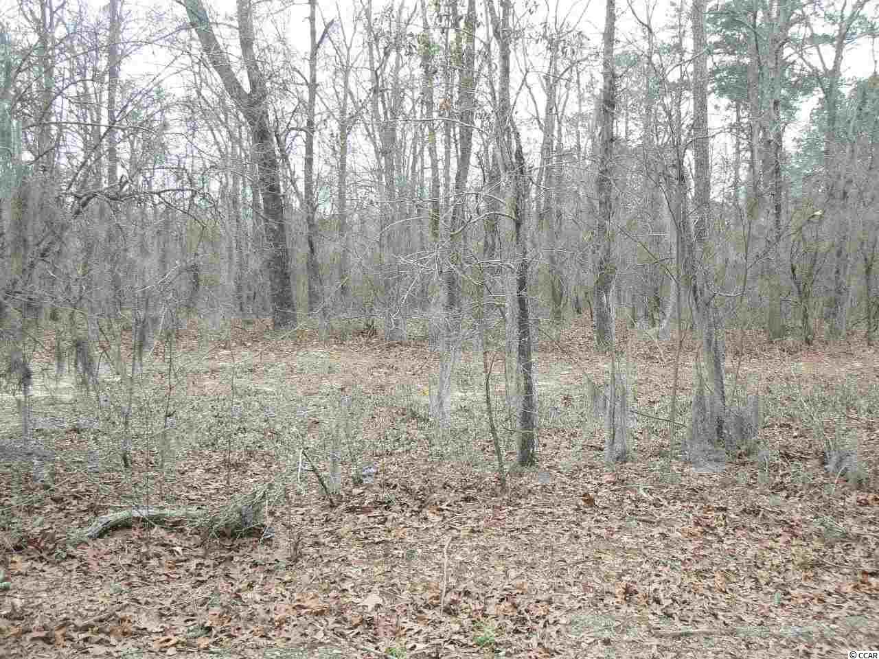 TBD Pee Dee Rd. Marion, SC 29571