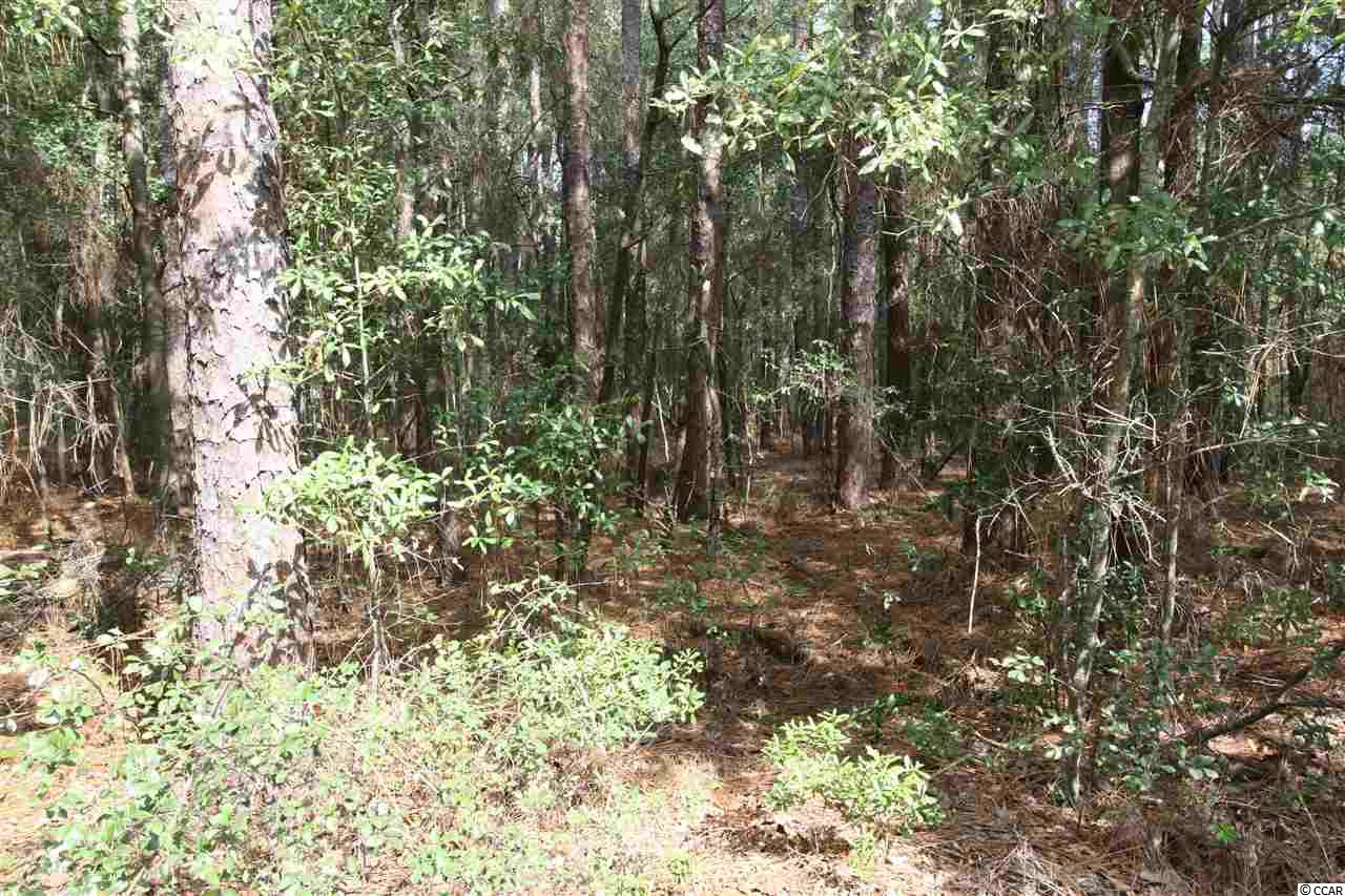 Lot 19 Arcadia Rd. Pawleys Island, SC 29585