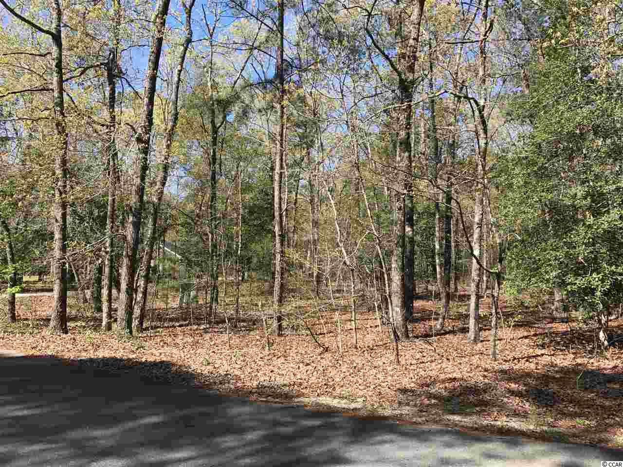 Lot 12 Lendrim Lake Dr. Conway, SC 29526