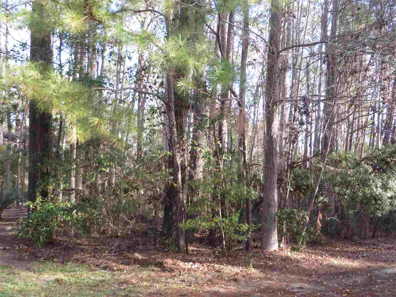 LOT 273 Clancurry Pl. Pawleys Island, SC 29585