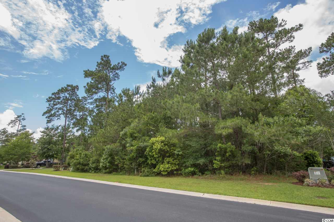 234 Low Country Loop Murrells Inlet, SC 29576