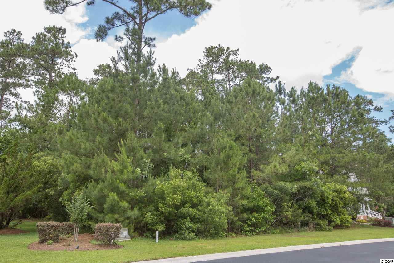 226 Low Country Loop Murrells Inlet, SC 29576