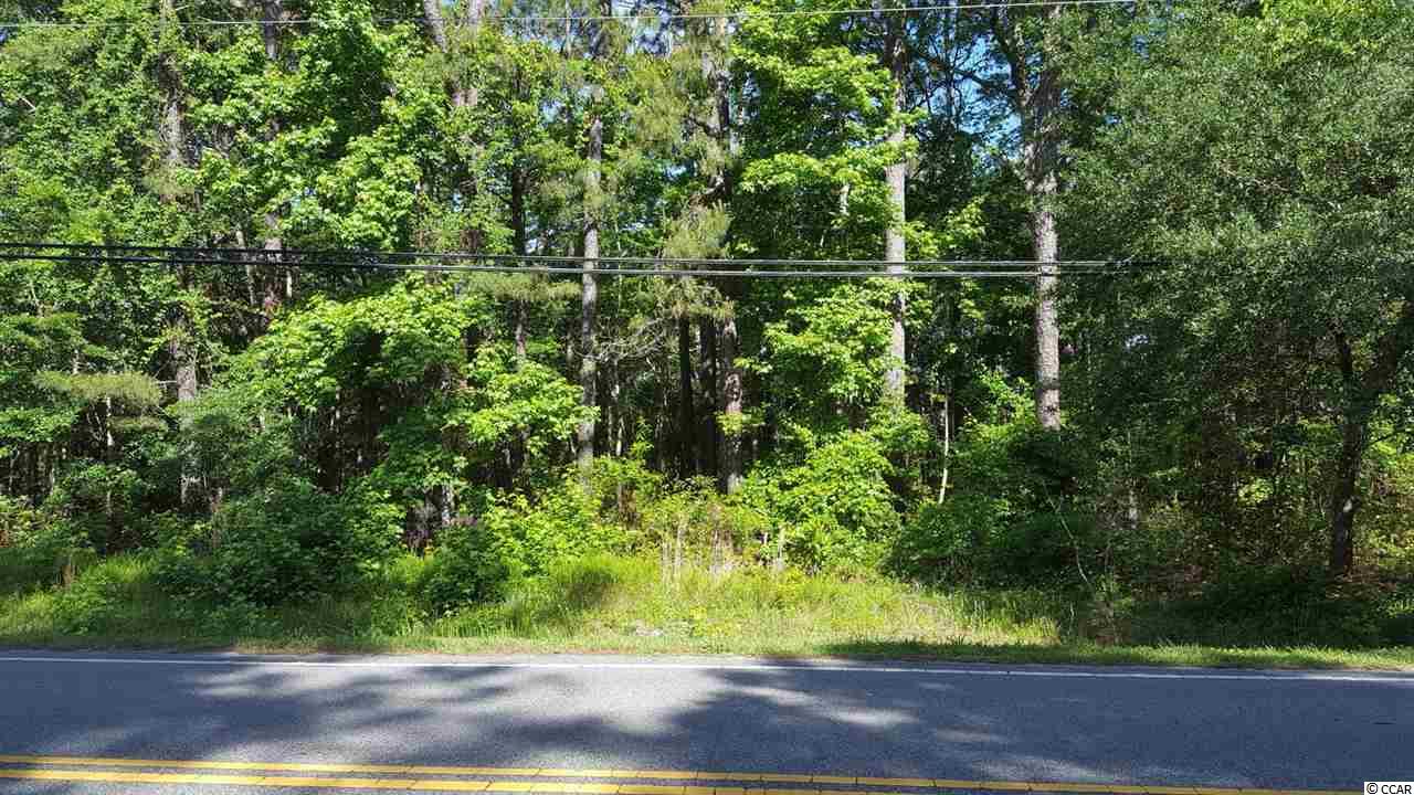 Lot 3 Bloc Kings Rd. Pawleys Island, SC 29585