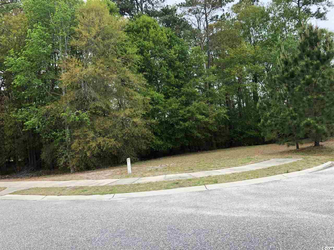 Woodstork Dr. Conway, SC 29526