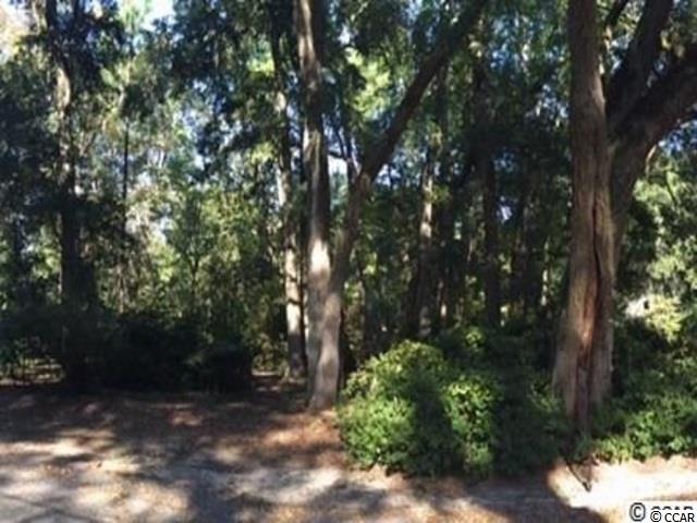 lot 90 William Screven Rd. Georgetown, SC 29440