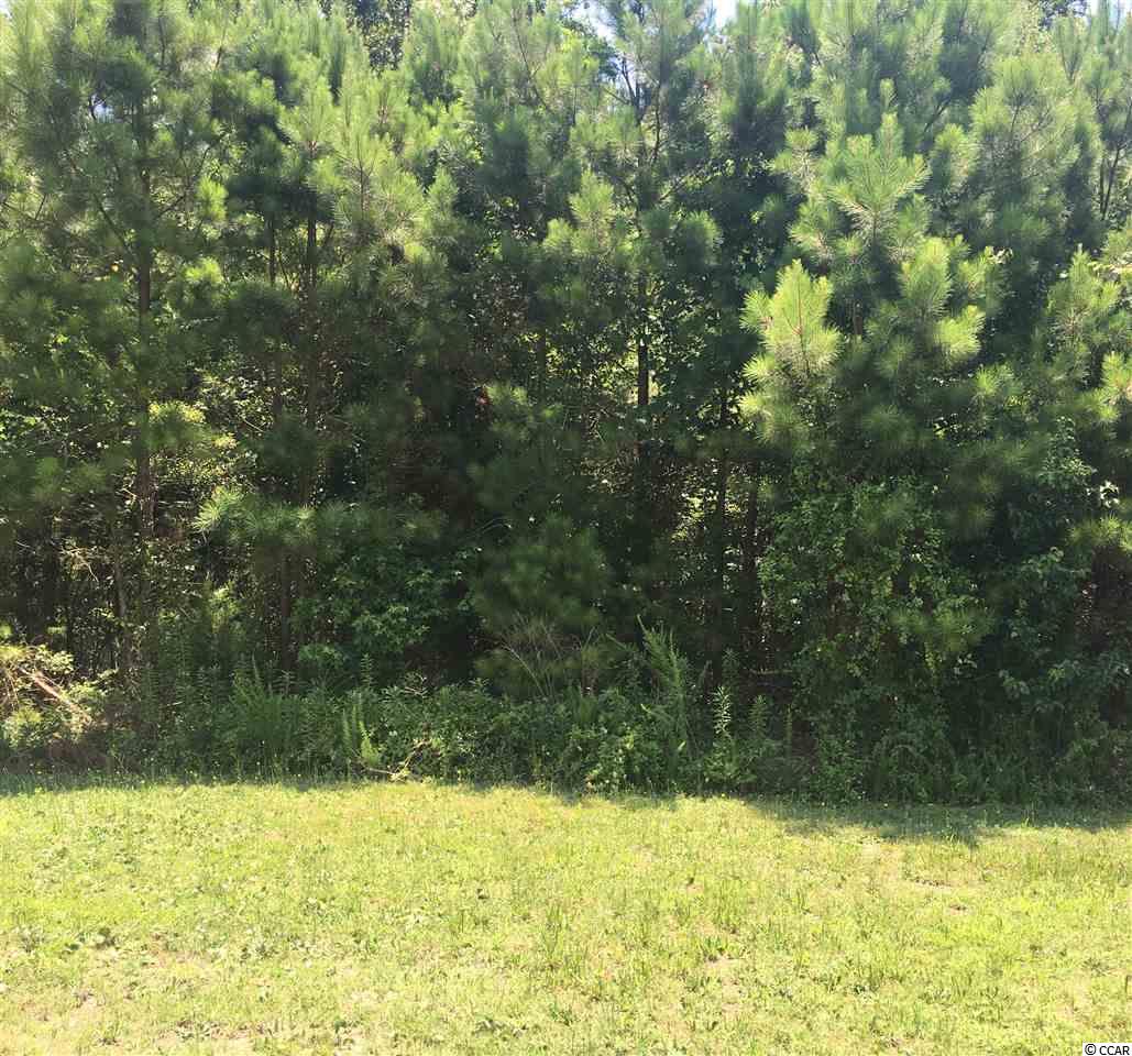 4410 Kinlaw St. Little River, SC 29566