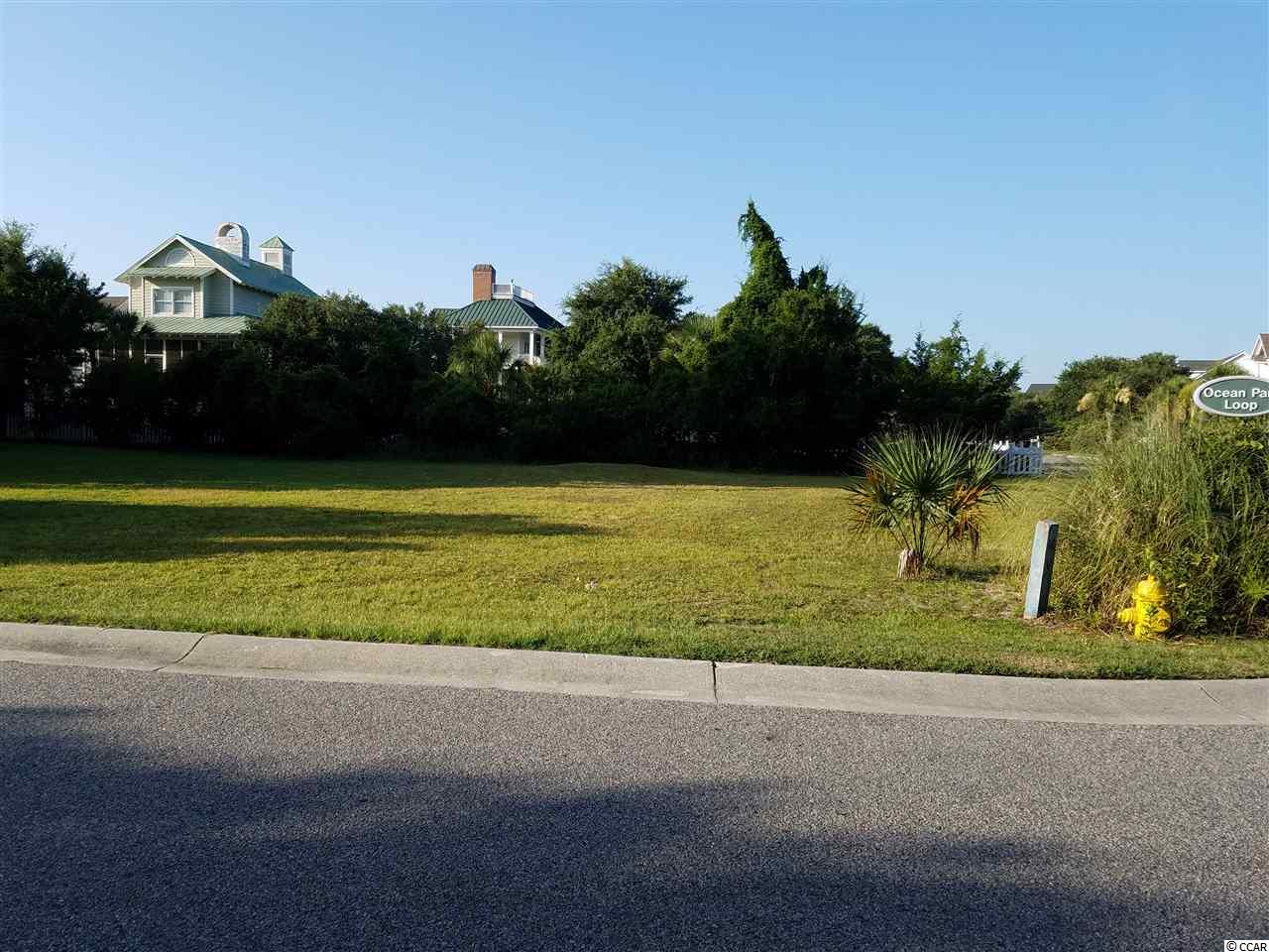 Lot 14 Ocean Park Loop Georgetown, SC 29440