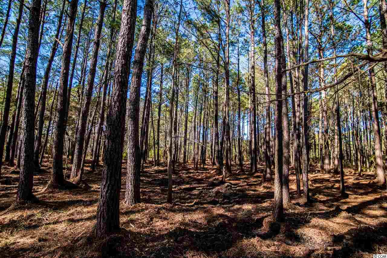 771 Collins Meadow Dr. Georgetown, SC 29440