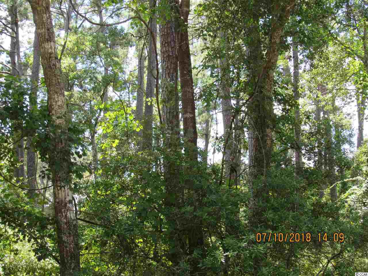 87 Brandon Way Georgetown, SC 29440