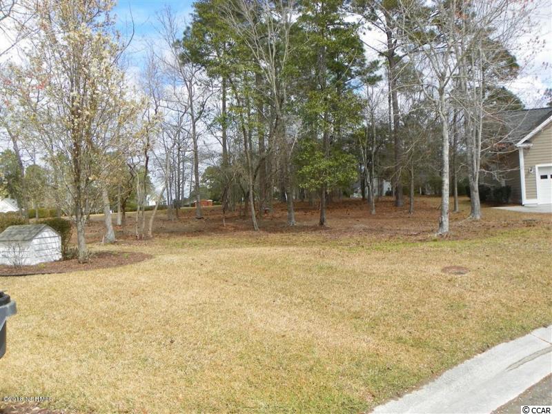 488 SE Switchgrass Ct. Bolivia, NC 28422