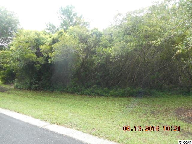 Lot 8 Permit Ct. Georgetown, SC 29440