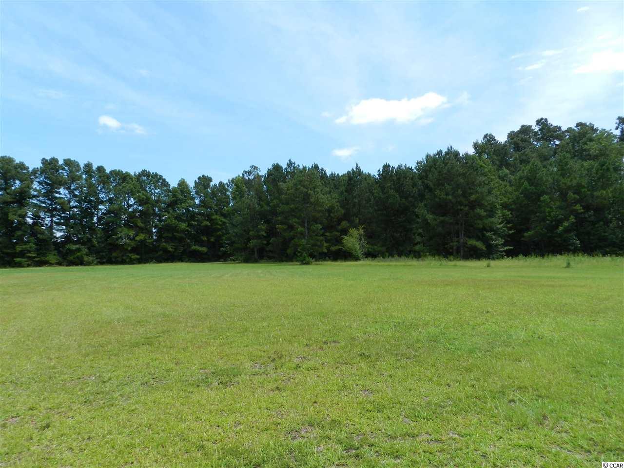 308 Wild Blueberry Ln. Conway, SC 29527