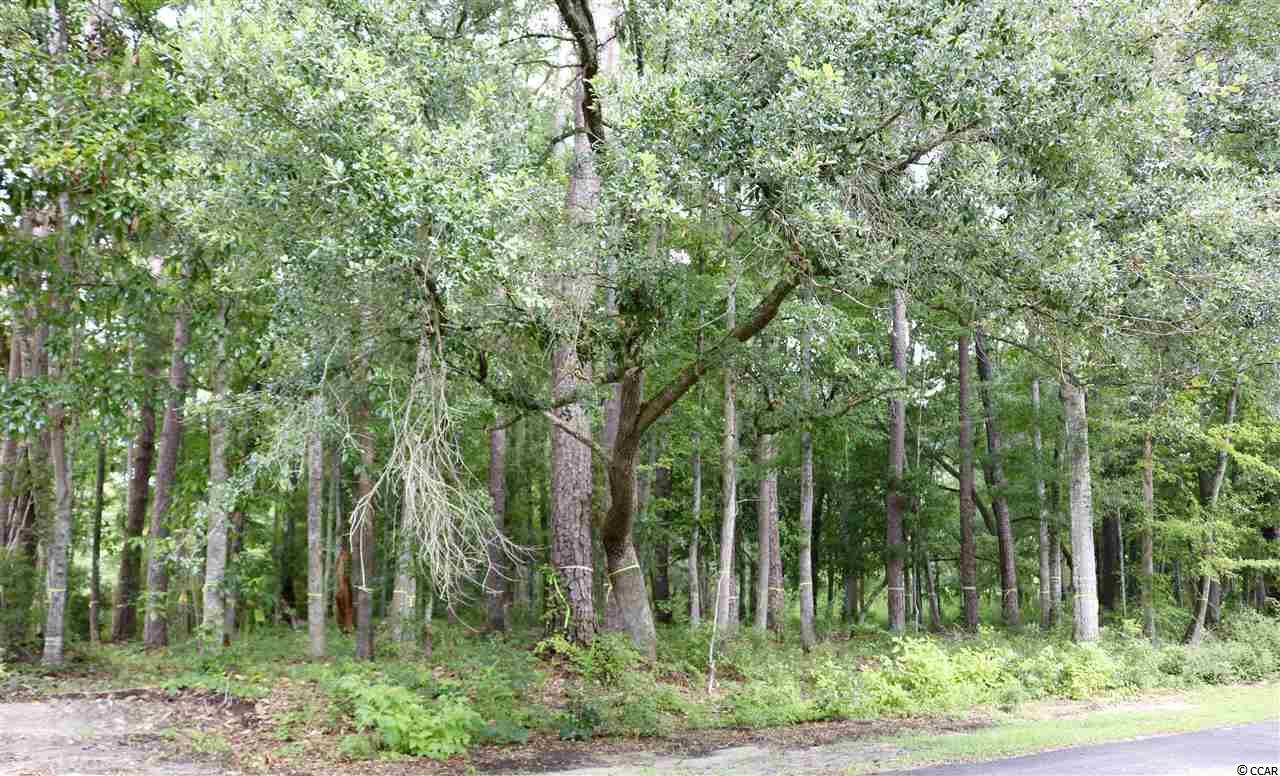 Lot 3 Tuckers Rd. Pawleys Island, SC 29585