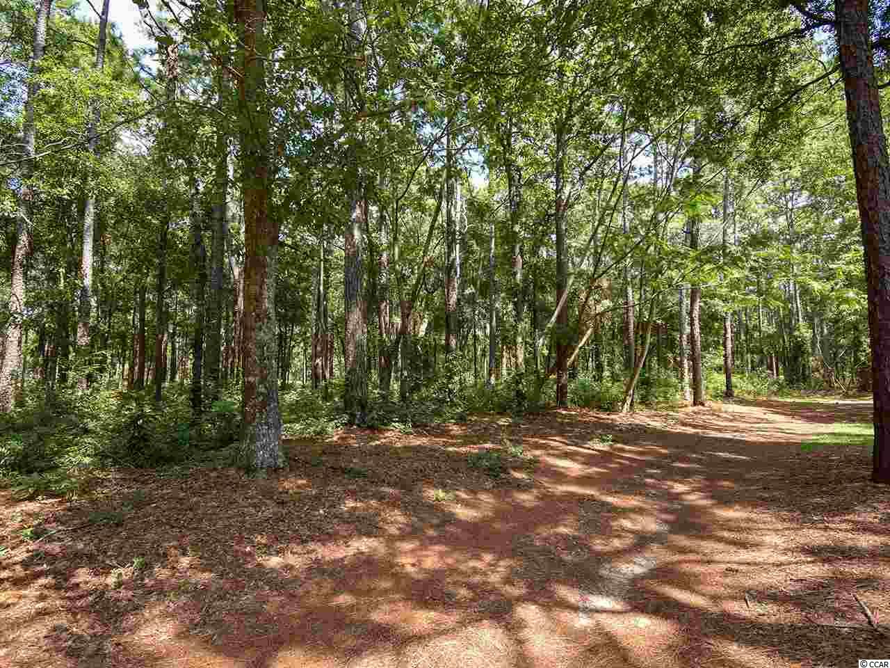 133 Deloach Trail Pawleys Island, SC 29585