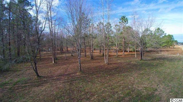 2940 Red Bluff Rd. Loris, SC 29569