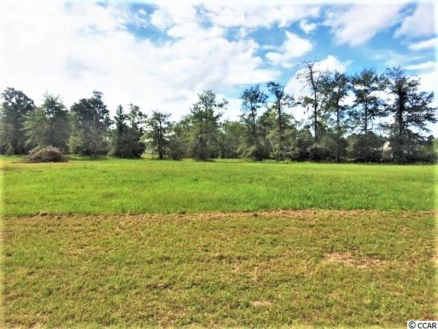 .62 Acres Holcombe Ln. Conway, SC 29527