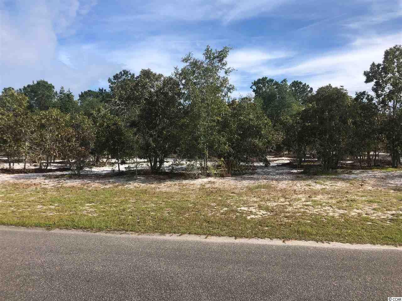 TBD Francis Marion Dr. Georgetown, SC 29440