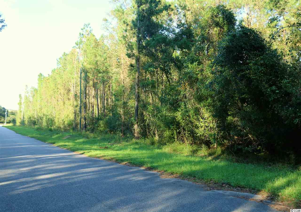 TBD Gator Lake Ln. Little River, SC 29566