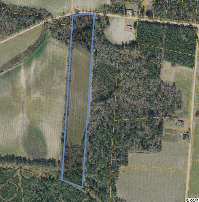 TBD Plainfield Rd. Galivants Ferry, SC 29544