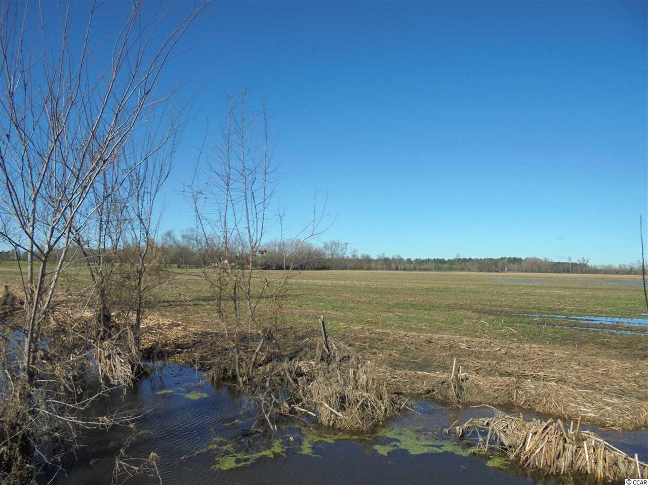 1284 W Highway 576 Marion, SC 29571
