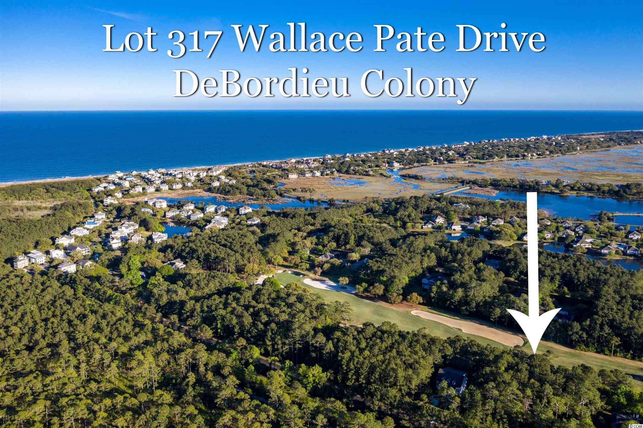 Lot 317 Wallace Pate Dr. Georgetown, SC 29440