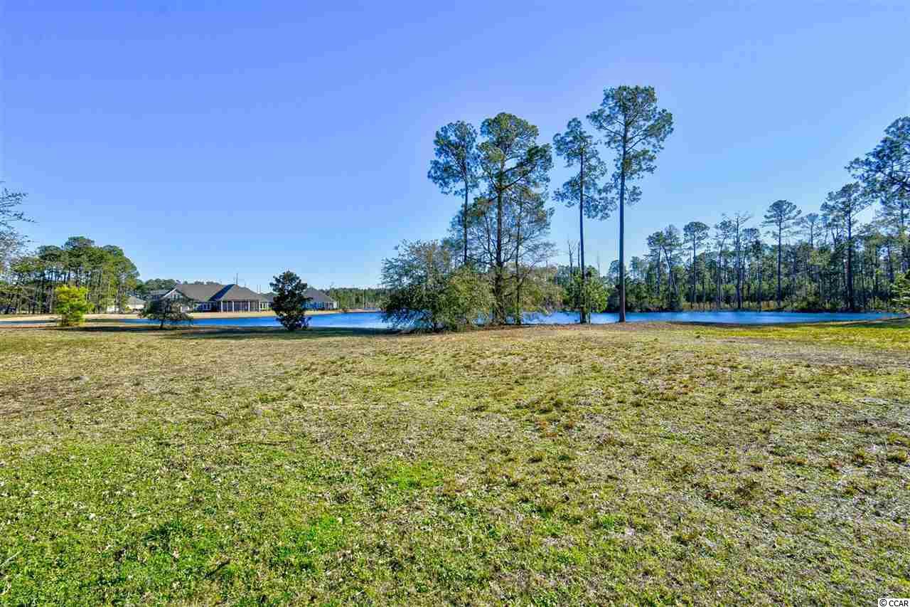 1849 Wood Stork Dr. Conway, SC 29526