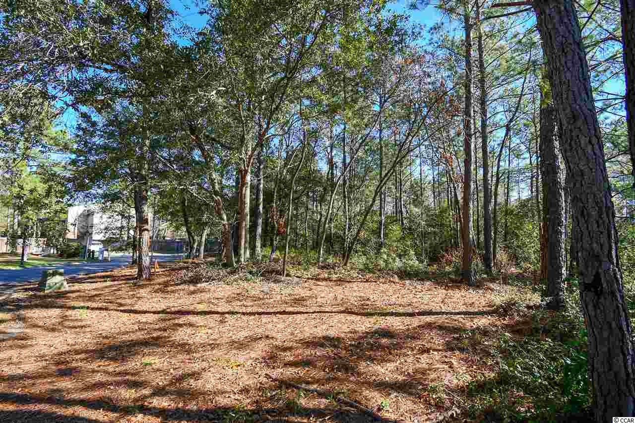 Lot 42 Natures View Circle Pawleys Island, SC 29585