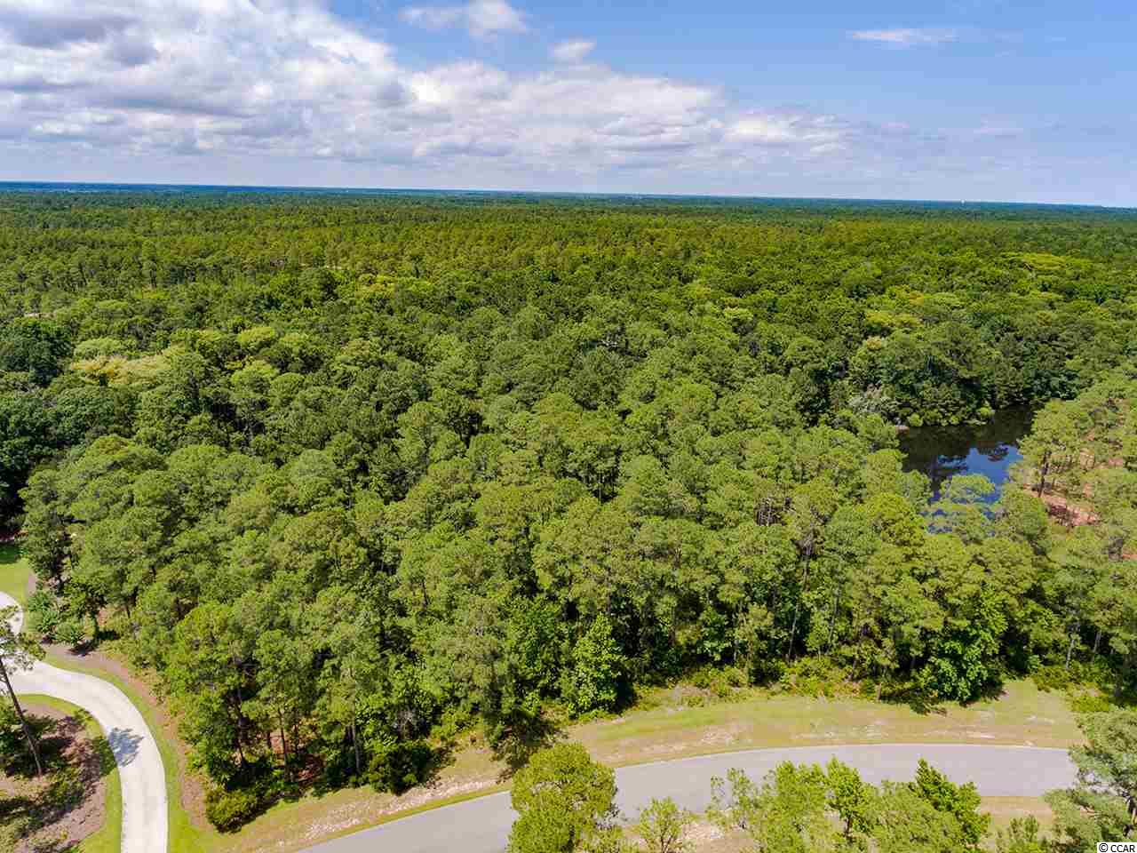 Lot 146 Ocean Lakes Loop Pawleys Island, SC 29585