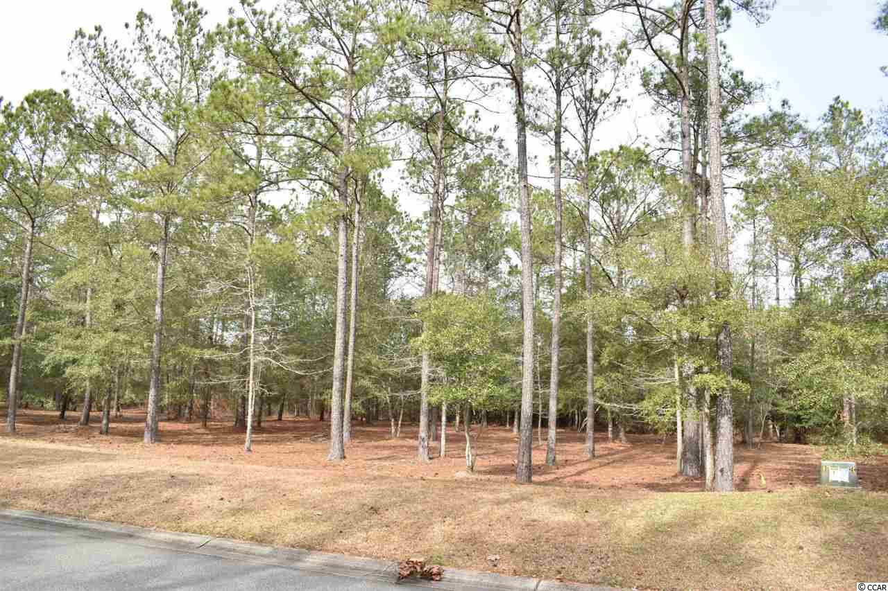 548 Hearthside Dr. Se Bolivia, NC 28422