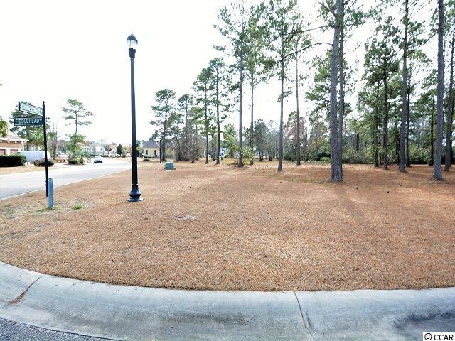 1162 Fiddlehead Way Myrtle Beach, SC 29579