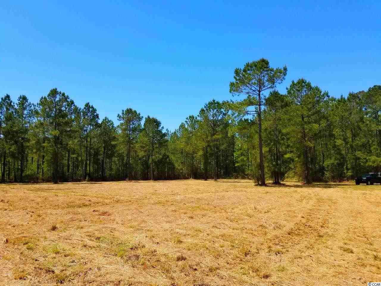 Lot 1 Samworth Loop Georgetown, SC 29440