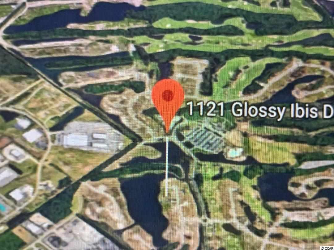 1121 Glossy Ibis Dr. Conway, SC 29526