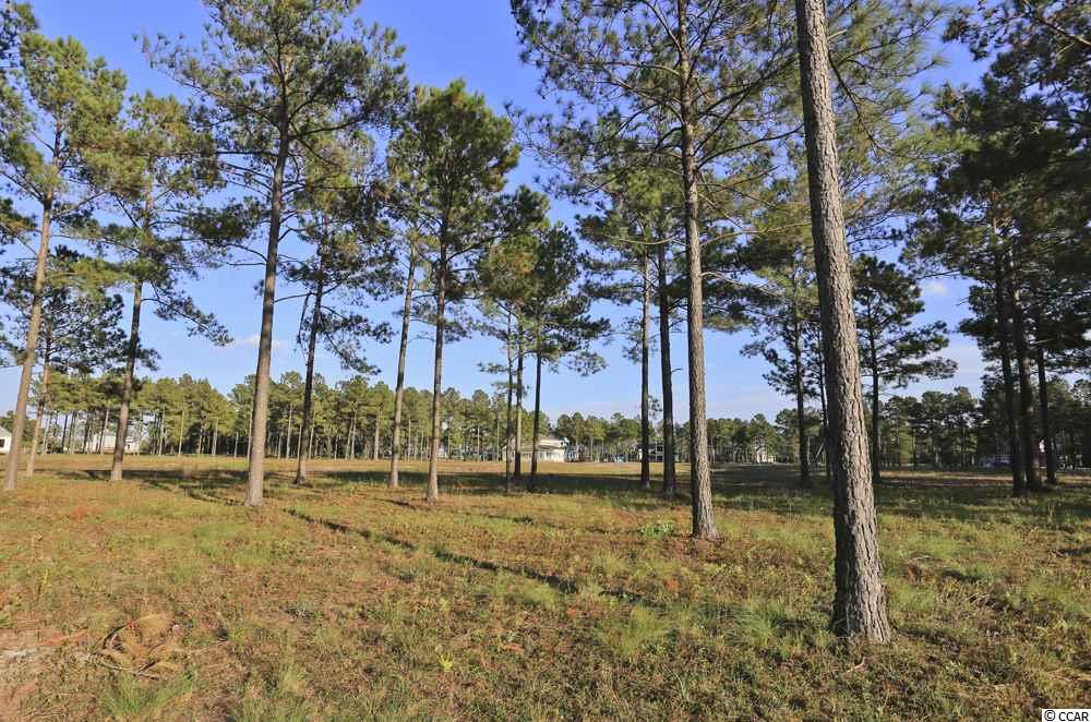 2728 Catbird Circle Myrtle Beach, SC 29579