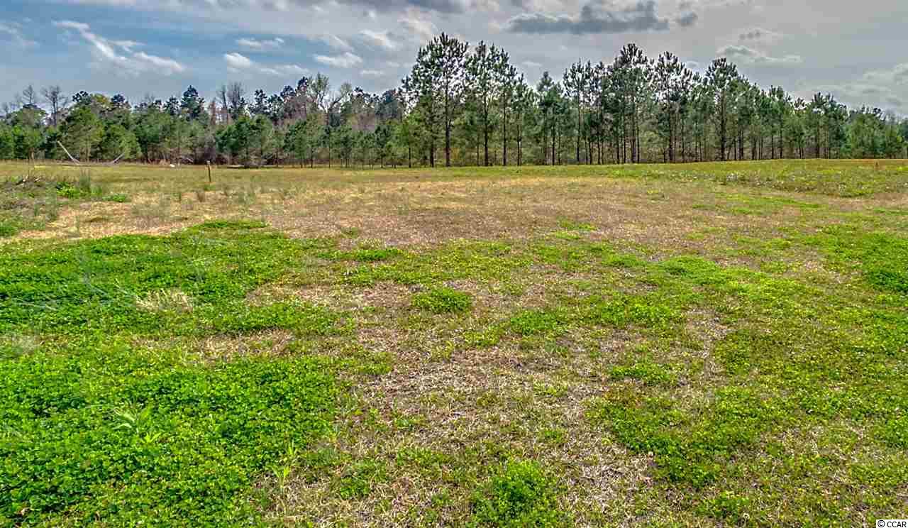 Lot 24 Truitt Dr. Longs, SC 29568