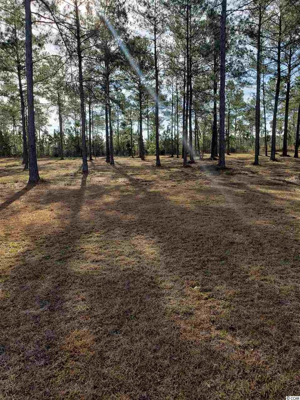 Lot 307 Painted Trillium Ct. Myrtle Beach, SC 29579