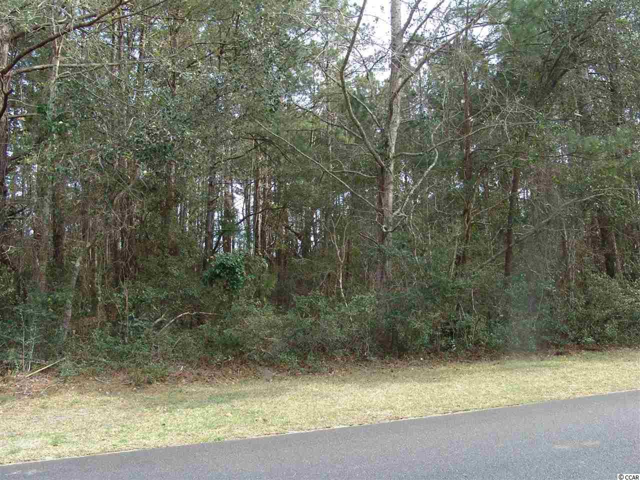 Lot 293 Bonneyneck Dr. Georgetown, SC 29440