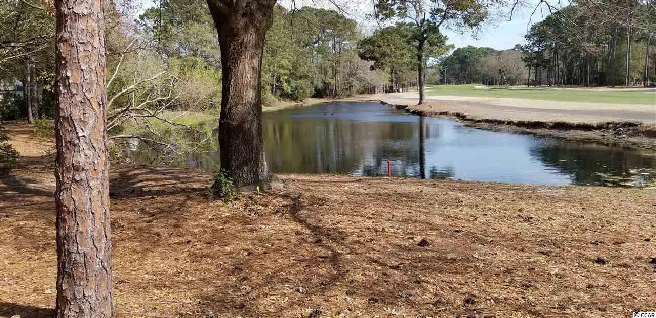 TBD Spicebush Ln. Pawleys Island, SC 29585