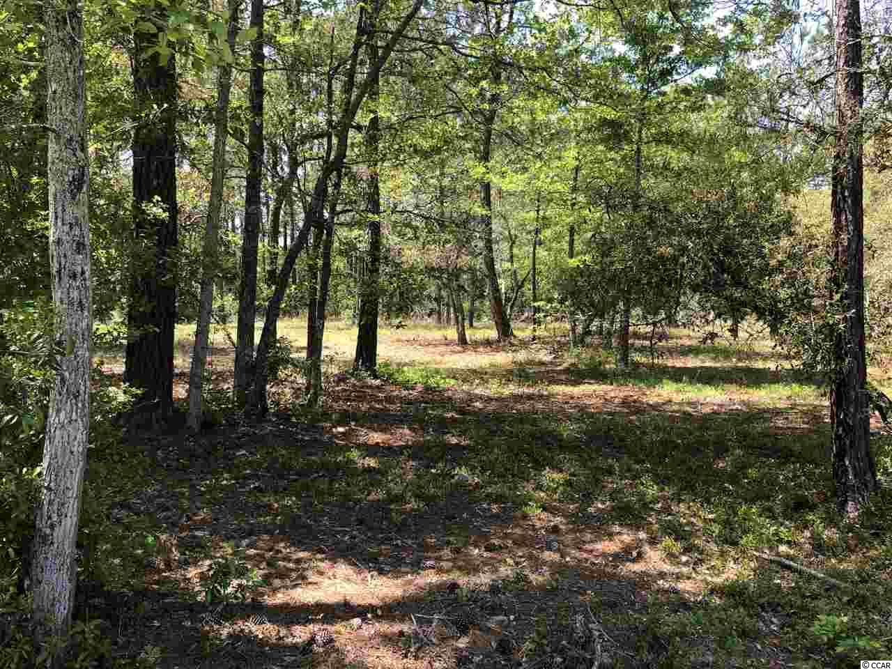 Lot 142 Holton Pl. Sw Ocean Isle Beach, NC 28469