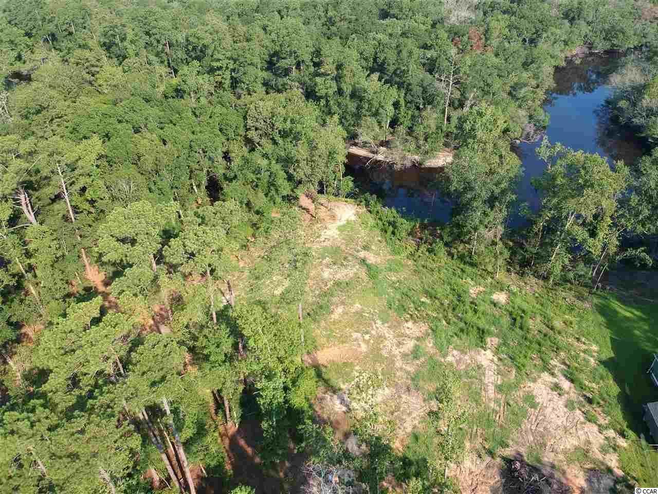TBD Bear Bluff Dr. Conway, SC 29526