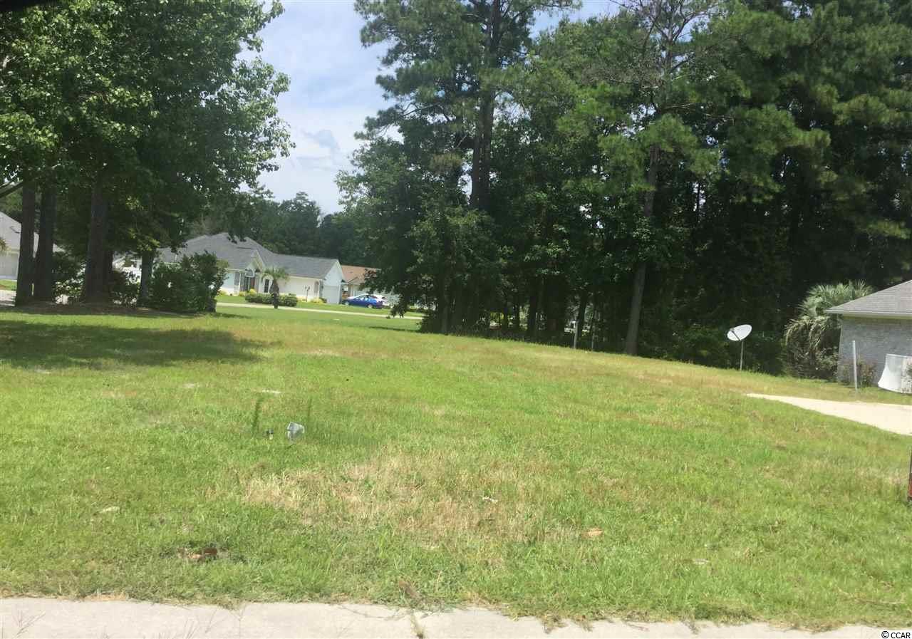 547 Bucks Trail Longs, SC 29568