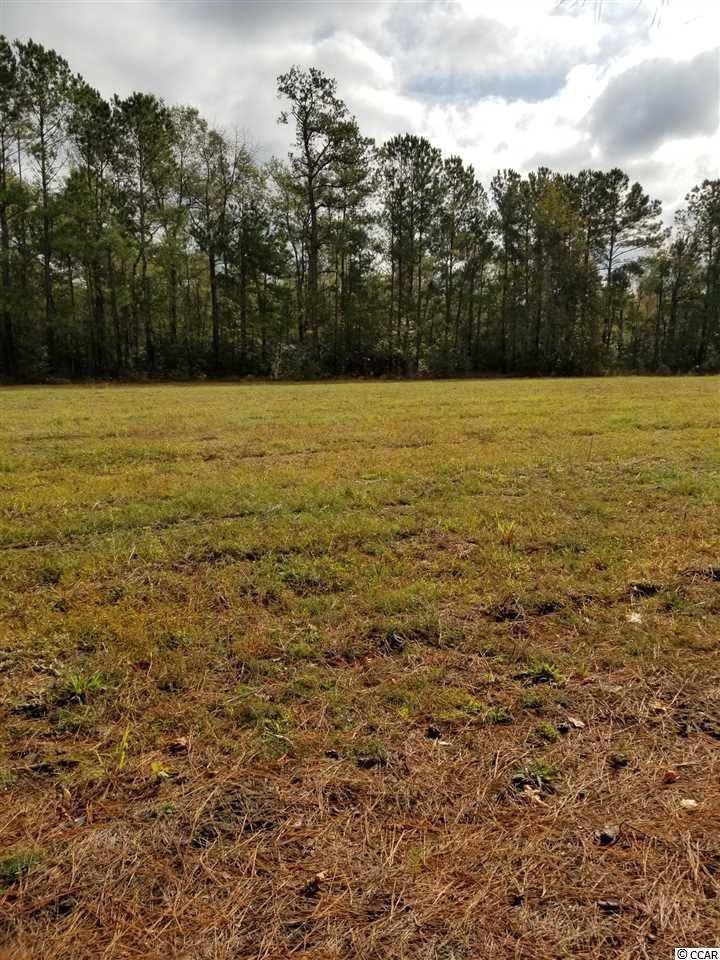 Lot 4 Highway 66 Loris, SC 29569