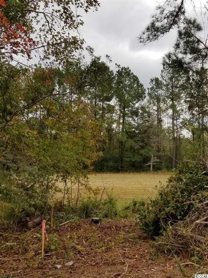 Lot 5 Highway 66 Loris, SC 29569