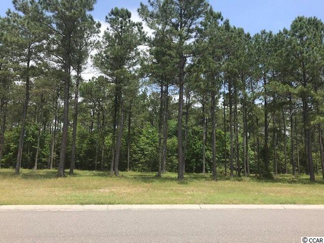 875 Waterbridge Blvd. Myrtle Beach, SC 29579