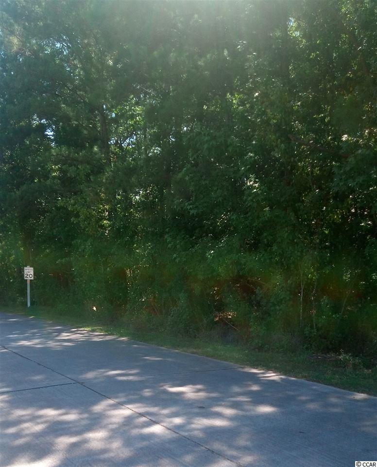 Lot 1 Saluda River Rd. Myrtle Beach, SC 29588