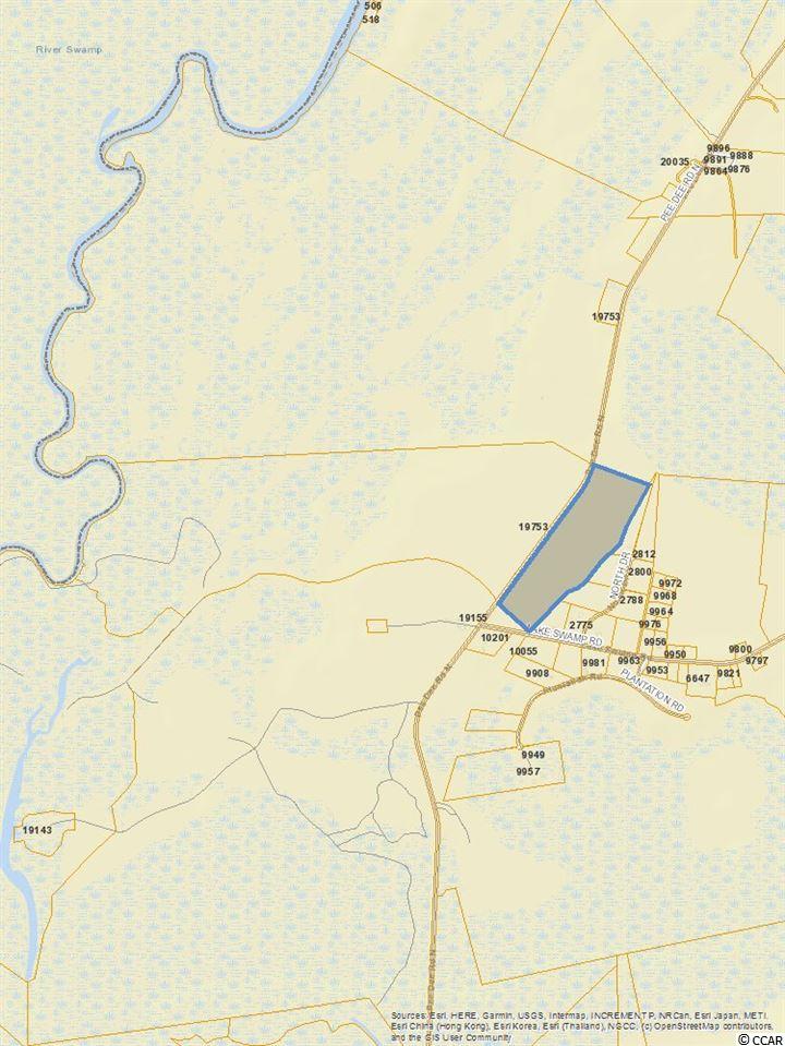 tbd N Pee Dee Rd. N Nichols, SC 29581