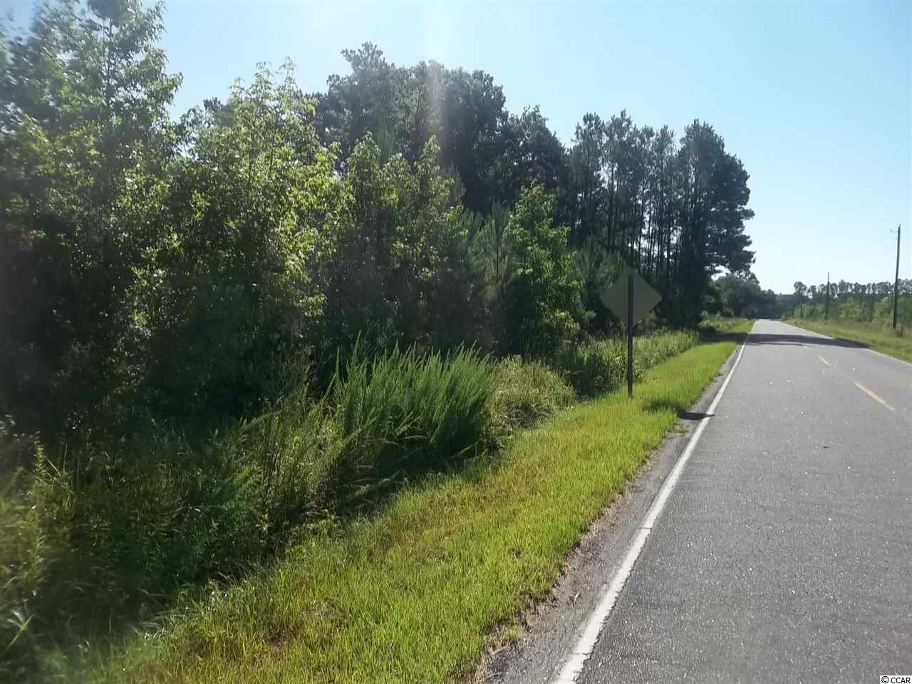 Pawley Swamp Rd. Conway, SC 29527