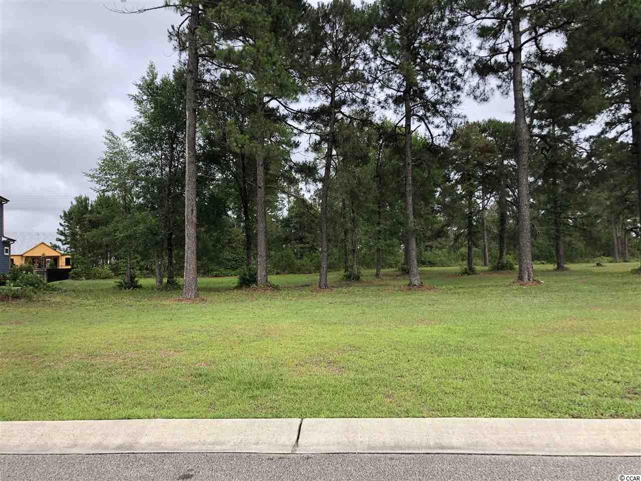 972 Fiddlehead Way Myrtle Beach, SC 29579